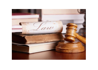 中华人民共和国刑法（节选）